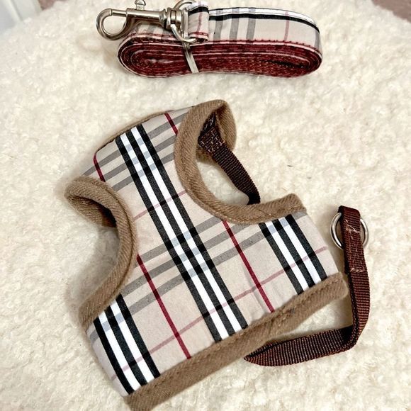 HOSTย PICK!โโจโจโจ๐๐๐๐๐๏ธ๐๏ธ๐๏ธ - Picture 5 of 5